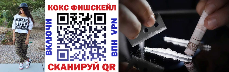 COCAIN Fish Scale  купить   кракен зеркало  Осташков 