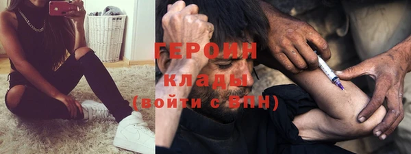 прущие грибы Няндома
