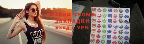 прущие грибы Няндома