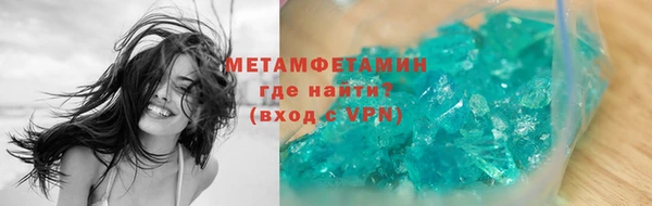 прущие грибы Няндома