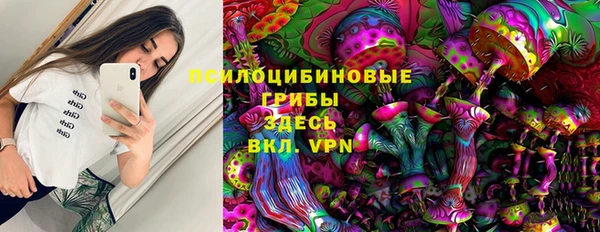 прущие грибы Няндома