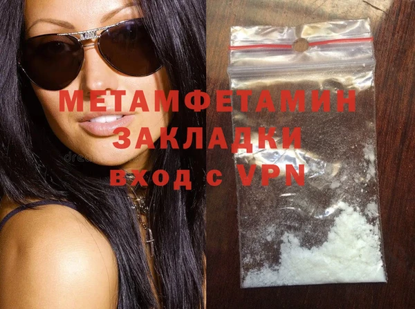 прущие грибы Няндома