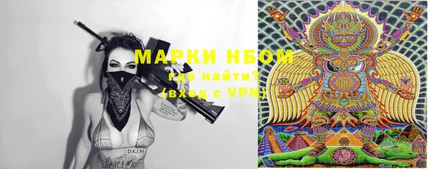 прущие грибы Няндома