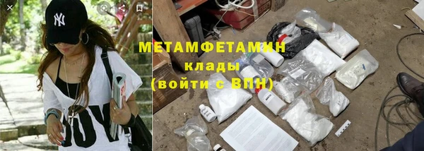 прущие грибы Няндома