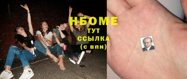 прущие грибы Няндома