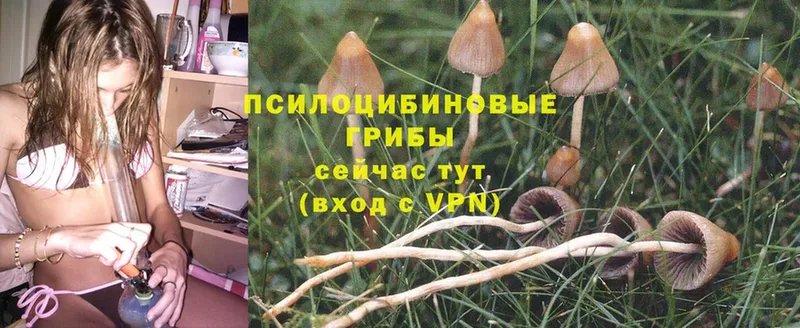 Галлюциногенные грибы Magic Shrooms  shop телеграм  Осташков 